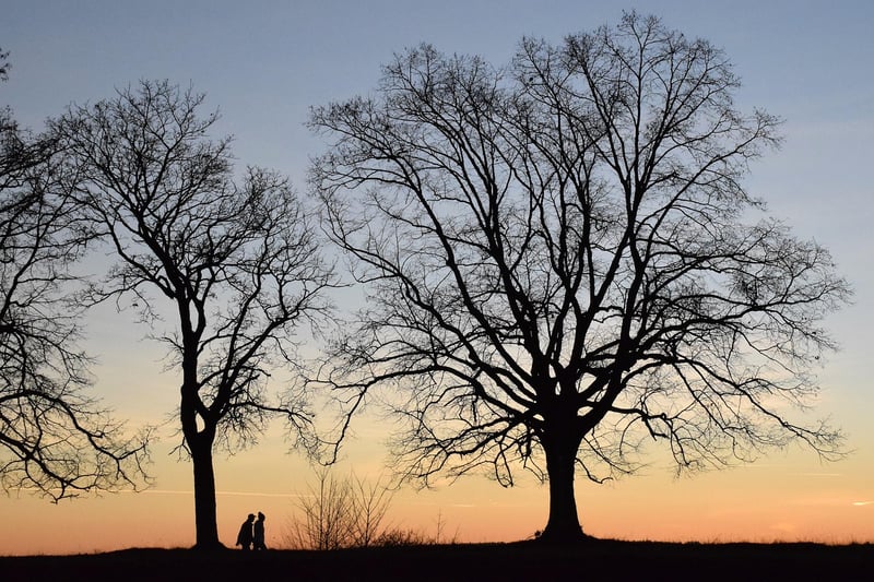 Quiet Conversations Image